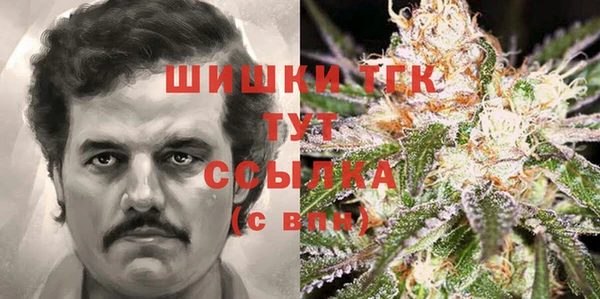 хмурый Алзамай