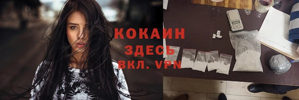 хмурый Алзамай