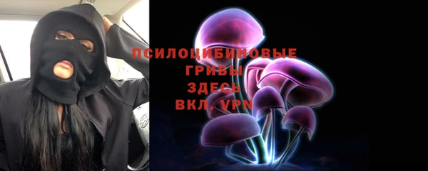 хмурый Алзамай
