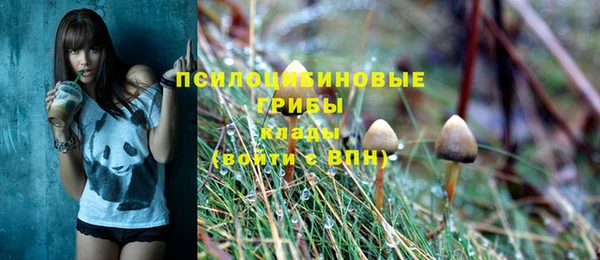 хмурый Алзамай