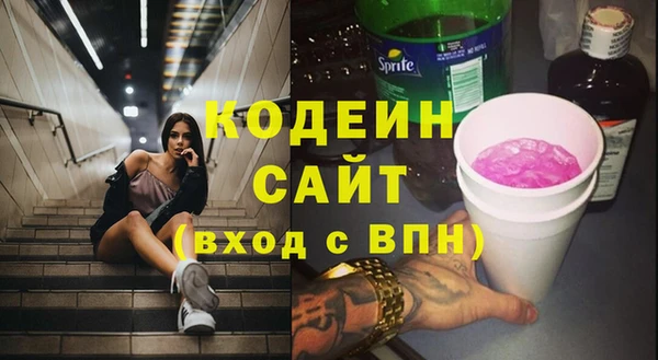 хмурый Алзамай