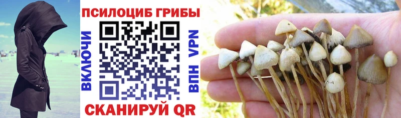 где продают наркотики  Соликамск  Галлюциногенные грибы Psilocybine cubensis 